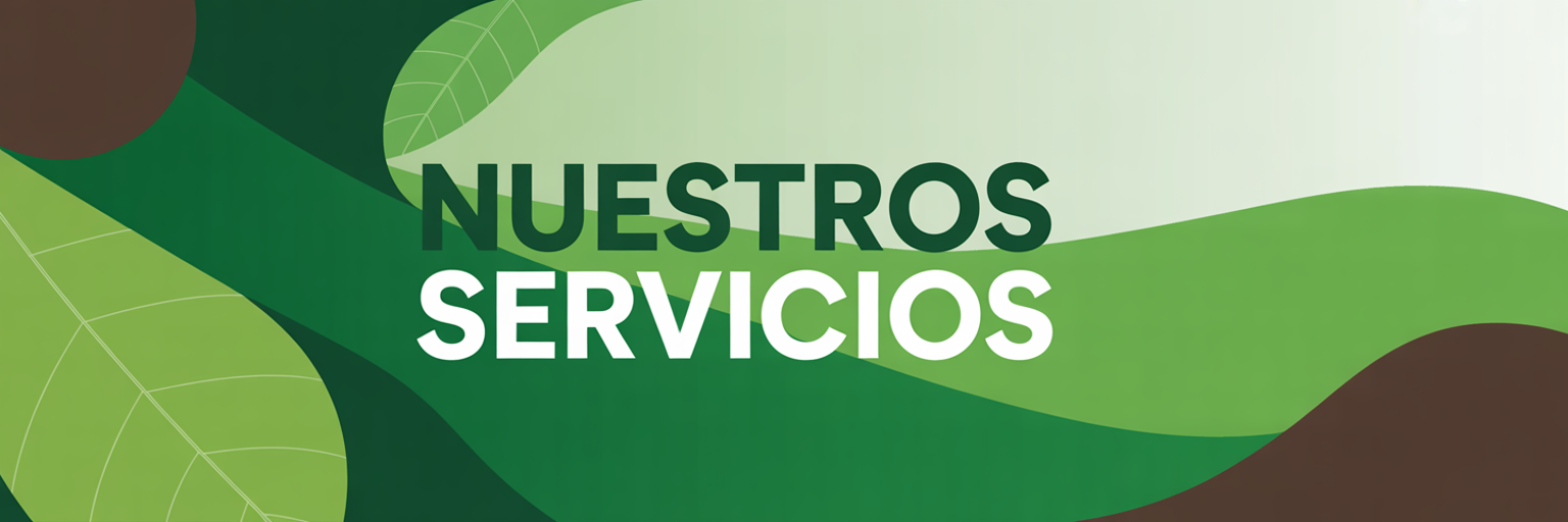 nuestros servicios